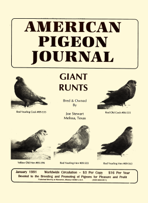 Click for larger image